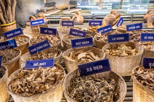 Bảo tàng nằm trong khu tiểu cảnh non bộ tái hiện sự tích núi Ngũ Hành. Công trình được thiết kế như một không gian dẫn truyện xuyên suốt, đưa du khách khám phá “kho báu” y học cổ truyền theo các lớp chủ đề độc đáo. (Ảnh: Minh Sơn/Vietnam+)