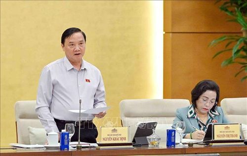 Phó Chủ tịch Quốc hội Nguyễn Khắc Định phát biểu. Ảnh: Phạm Kiên/TTXVN
