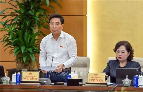 Phó Chủ tịch Quốc hội Nguyễn Doãn Anh phát biểu. Ảnh: Phạm Kiên/TTXVN