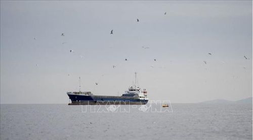 Tàu thủy di chuyển ở eo biển Hormuz, ngoài khơi tỉnh Musandam của Oman, ngày 12/4/2026. Ảnh: REUTERS/TTXVN