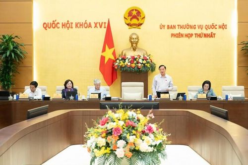 Phó Chủ tịch Quốc hội Nguyễn Khắc Định phát biểu