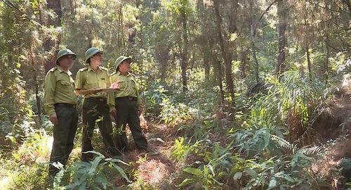 Lực lượng kiểm lâm Thanh Hóa kiểm tra, giám soát các vùng trọng điểm cháy rừng.