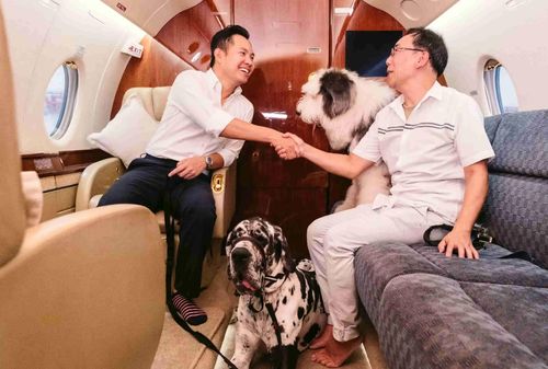 Khách hàng của SingaPaw Air bao gồm những người chuyển nơi ở giữa các quốc gia, cũng như những người muốn đưa thú cưng đi du lịch.