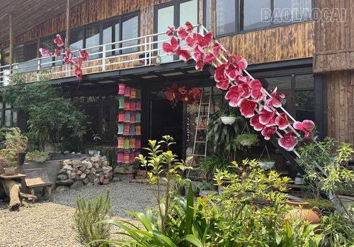 Anh Phức vừa đầu tư hơn 400 triệu đồng để nâng cấp, sửa chữa khu homestay của gia đình.