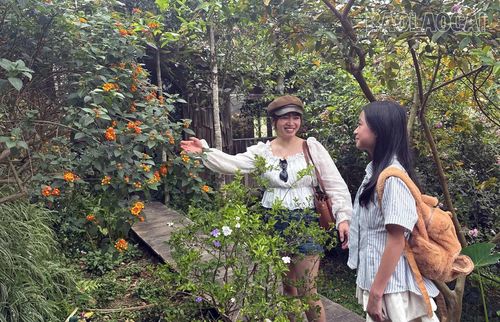 Các chủ homestay ở Tả Van quan tâm đầu tư cơ sở vật chất thu hút du khách.