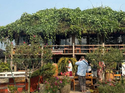 Các khu homestay ở Tả Van luôn tấp nập du khách.
