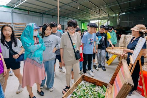 Du khách tham quan quy trình sản xuất tơ tằm