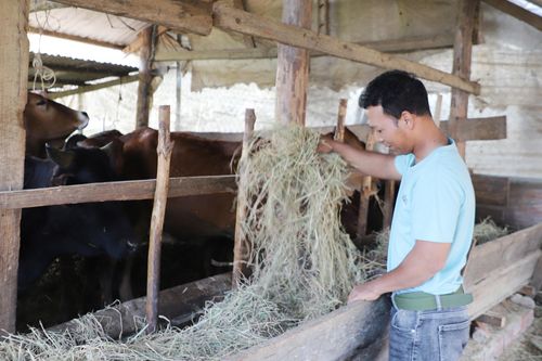 Xã Lạc Dương hình thành nhiều mô hình kinh tế, mang lại cơ hội thoát nghèo cho đồng bào địa phương