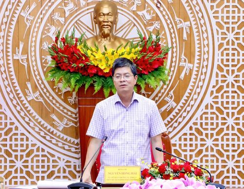 Ủy viên Ban Thường vụ Tỉnh ủy, Phó Chủ tịch UBND tỉnh Nguyễn Hồng Hải nêu ý kiến chỉ đạo tại buổi làm việc