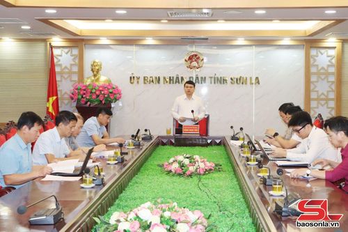 Đồng chí Phó Chủ tịch UBND tỉnh làm việc với các đơn vị liên quan rà soát số liệu Chương trình 1719.