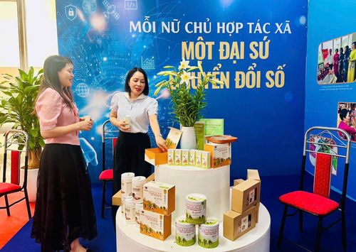 Qua nền tảng số, khách hàng dễ dàng giám sát chất lượng sản phẩm của Hợp tác xã Đông nam dược Cát Linh. Ảnh: Bảo Lâm