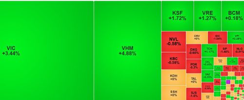 VIC và VHM tiếp tục hỗ trợ mạnh cho thị trường. Ảnh chụp qua màn hình.