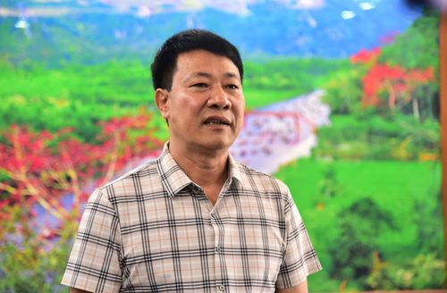 Phó Chủ tịch UBND xã Hương Sơn Vương Trọng Đạo cho biết địa phương hướng tới sản xuất hàng hóa và nâng cao chất lượng sản phẩm. Ảnh: Nguyễn Công