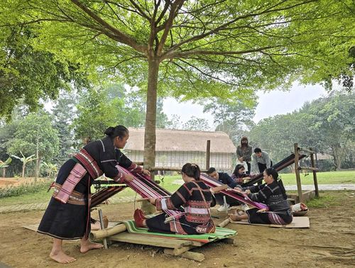 Hội nghị cũng sẽ tôn vinh, khen thưởng các các già làng, trưởng bản và nghệ nhân uy tín có nhiều đóng góp trong công tác bảo tồn và phát huy giá trị văn hóa truyền thống các dân tộc