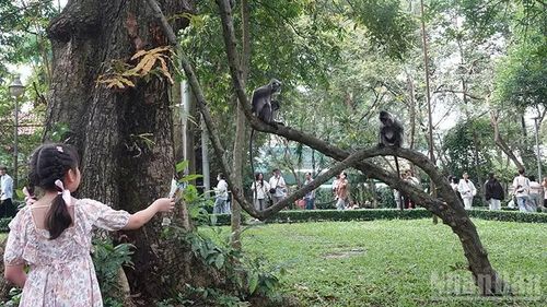 Các em nhỏ thích thú khi được tham quan tại Thảo Cầm Viên Sài Gòn.