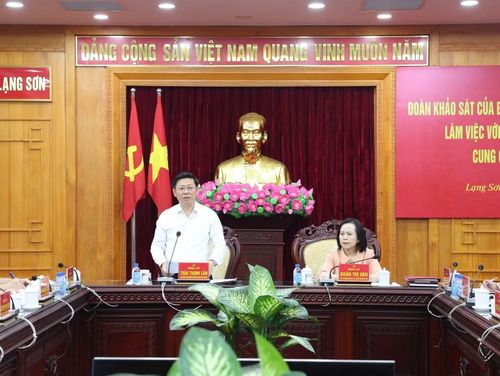 Đồng chí Trần Thanh Lâm, Ủy viên Trung ương Đảng, Phó Trưởng Ban Tuyên giáo và Dân vận Trung ương phát biểu kết luận buổi làm việc.