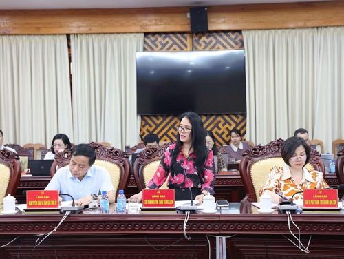 Lãnh đạo Sở Văn hóa, Thể thao và Du lịch Lạng Sơn phát biểu tại buổi làm việc.