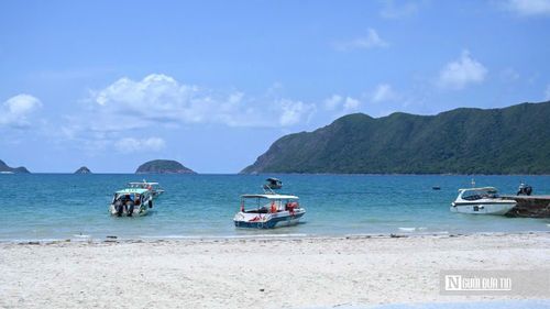 Thực tế cho thấy, nhóm khách đến Côn Đảo hiện nay không còn quá nhạy cảm với giá, mà chú trọng nhiều hơn đến chất lượng trải nghiệm. Đây là tệp khách có mức chi tiêu khá, sẵn sàng trả giá cao để đổi lấy sự riêng tư, yên tĩnh và dịch vụ tốt.