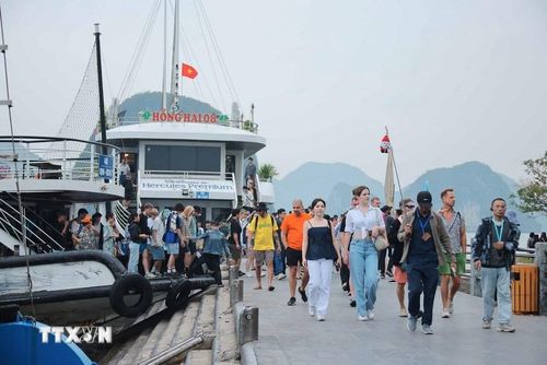 Quảng Ninh đón lượng lớn du khách tham quan, tìm hiểu vẻ đẹp tự nhiên của Vịnh Hạ Long. Ảnh: Hoàng Hiếu/TTXVN