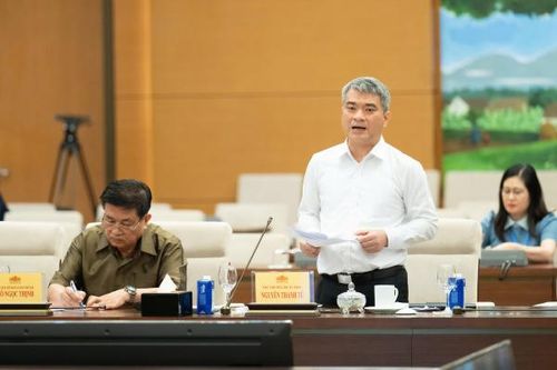 Thứ trưởng Bộ Tư pháp Nguyễn Thanh Tú trình bày Tờ trình của Chính phủ tại phiên họp.