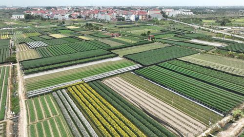 Đất đai luôn là nguồn lực nền tảng trong mọi giai đoạn phát triển. Ảnh: Phạm Hùng