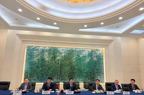 Bộ trưởng Bộ Công Thương Lê Mạnh Hùng tại buổi hội đàm.