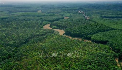 Việc ứng phó hiệu quả với biến đổi khí hậu, quản lý tài nguyên thiên nhiên và giảm phát thải khí nhà kính sẽ góp phần bảo đảm tương lai lâu dài cho đất nước. Ảnh minh họa: TTXVN