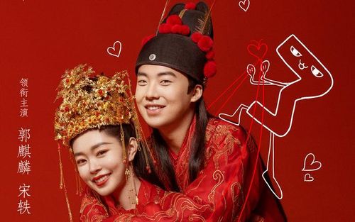 Quách Kỳ Lân vào vai Ninh Nghị - chàng rể ở rể thông minh, lanh lợi, sánh đôi cùng Tống Dật trong vai Tô Đàn Nhi, một nữ thương nhân sắc sảo. Phim kể về một chuyên gia tài chính hiện đại xuyên không về cổ đại, trở thành con rể bị xem thường trong gia tộc. Từ cuộc hôn nhân mang tính hình thức, cả hai dần đồng hành trong kinh doanh và cuộc sống, xây dựng tình cảm bền chặt.