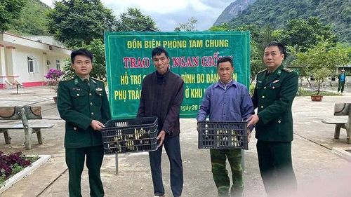 Đồn Biên phòng Tam Chung trao con giống hỗ trợ các hộ gia đình phát triển kinh tế.