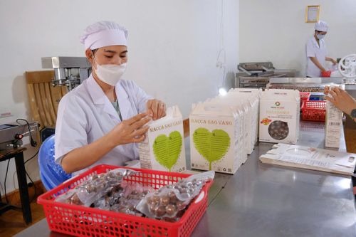 Ngoài các sản phẩm ở dạng hạt sấy, nhiều doanh nghiệp đang phát triển thành nhiều dòng sản phẩm giá trị cao như dầu, bơ, thực phẩm chức năng