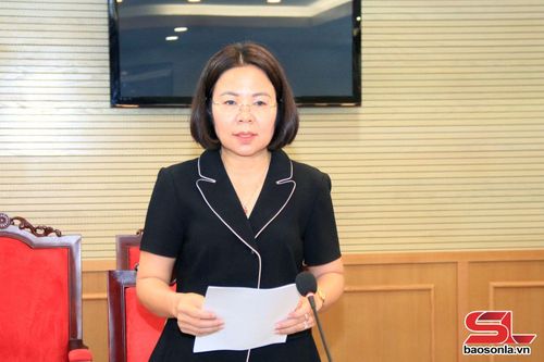 Lãnh đạo Sở Văn hóa, Thể thao và Du lịch phát biểu tại cuộc làm việc.