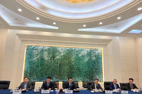 Bộ trưởng Bộ Công thương Lê Mạnh Hùng phát biểu tại hội đàm. Ảnh: Bộ Công thương