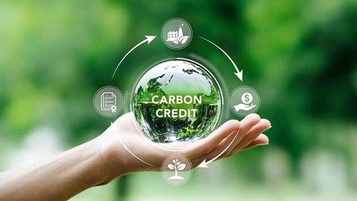 Thị trường carbon sẽ tạo ra động lực kinh tế mới. Ảnh minh họa