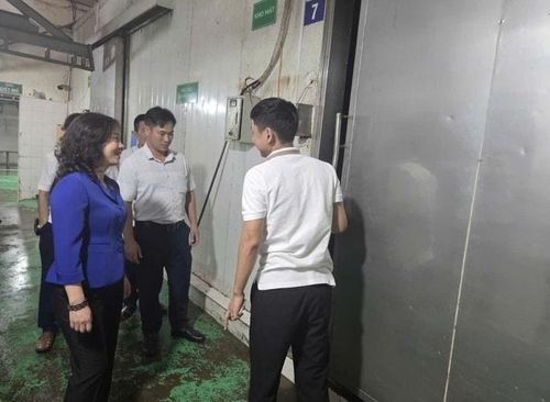 Đồng chí Nguyễn Thị Mai Phương, Phó Chủ nhiệm Ủy ban Khoa học, Công nghệ và Môi trường của Quốc hội đánh giá cao sự chủ động của địa phương trong việc loại bỏ các cơ sở giết mổ động vật nhỏ lẻ, không đảm bảo vệ sinh. Ảnh T. Đạt