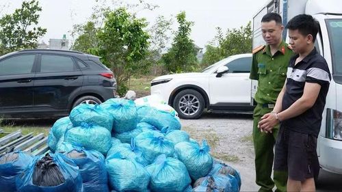 Gần 4 tấn giá đỗ thành phẩm thu giữ tại xưởng sản xuất giá đỗ tại Mạo Khê, Quảng Ninh. (Ảnh: Công an Quảng Ninh)