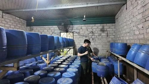  Không gian bên trong xưởng sản xuất giá đỗ tại phường Mạo Khê. (Ảnh: Công an Quảng Ninh) 