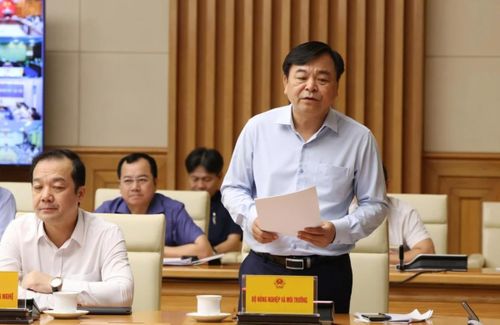 Thứ trưởng Nguyễn Hoàng Hiệp: năng lực thực thi pháp luật tại một số địa phương còn hạn chế. Ảnh VPG.