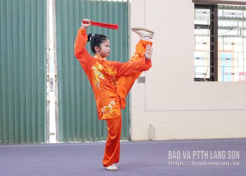Giải vô địch Wushu các câu lạc bộ quốc gia không phân biệt độ tuổi ở các nội dung thi đấu, thu hút sự tham gia của nhiều VĐV trẻ. Trong đó, VĐV Khổng Thu Hà (đoàn Hưng Yên) là một trong những gương mặt nhỏ tuổi nhất giải. Mới 11 tuổi, Thu Hà đã có nhiều năm tập luyện wushu và từng giành huy chương bạc tại mùa giải năm 2025. Hiện, Thu Hà cũng đang là VĐV thuộc đội tuyển trẻ quốc gia. Tại giải năm nay, em tiếp tục thể hiện phong độ ấn tượng khi xuất sắc giành huy chương vàng ở nội dung Thái cực quạt nữ, cho thấy tiềm năng phát triển nổi bật trong tương lai.