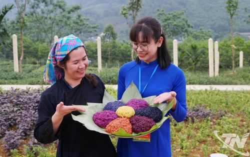 Người dân địa phương giới thiệu xôi ngũ sắc.