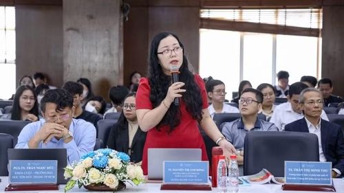 Chuyên gia phát biểu ý kiến tại hội thảo