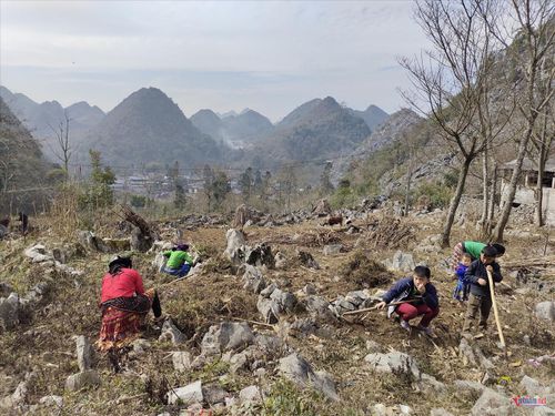 Với người dân ở các địa bàn đặc biệt khó khăn, việc thoát nghèo là không hề đơn giản, thậm chí là không thể nếu như thiếu đi sự hỗ trợ trực tiếp. Ảnh: Uyển Nhi.