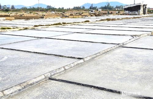 Nhiệt độ ngoài trời gần 40 độ, những ô ruộng mới buổi sáng còn là nước biển, giờ đã kết tinh thành những hạt lấp lánh. Vì người dân nơi đây làm muối theo phương pháp phơi cát thủ công nên hạt muối nơi đây ngon và mang hương vị đặc trưng riêng.