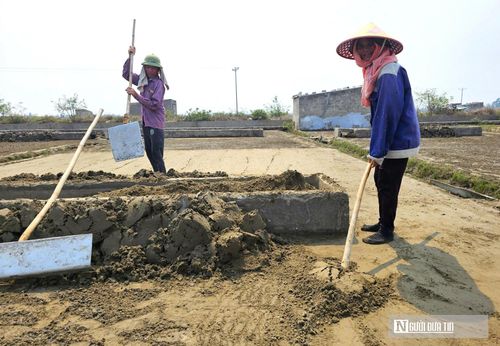 Hiện 1kg muối được bán với giá 1.800 đồng, ngày mỗi hộ sản xuất được 1 - 1,5 tạ muối. Nghề làm muối thu nhập thấp lại phải làm việc với cường độ cao và nắng nóng khủng khiếp nên thanh niên các làng muối đều rời làng đi làm nghề khác. Trên cánh đồng muối đa phần chỉ là những người già và học sinh phụ bố mẹ.