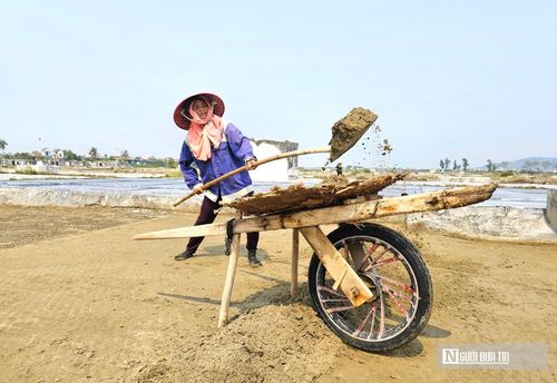“Cái nghề suốt ngày phơi mình dưới nắng gắt, những giọt mồ hôi cứ thế tuôn ra trên khuôn mặt đã cháy đen. Mỗi ngày phải uống vài lít nước mới đủ. Tối về chân tay, lưng mỏi nhừ. Công việc vất vả nhưng già rồi cũng chẳng biết kiếm việc gì làm nên bám ruộng để mưu sinh”, bà Nguyễn Thị Nhàn, SN 1956, trú tại xã Quỳnh Phú, cho biết.