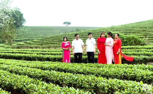 Lãnh đạo Sở Nông nghiệp và Môi trường tỉnh Thái Nguyên thăm làng nghề sản xuất chè ở xã Phú Lạc.