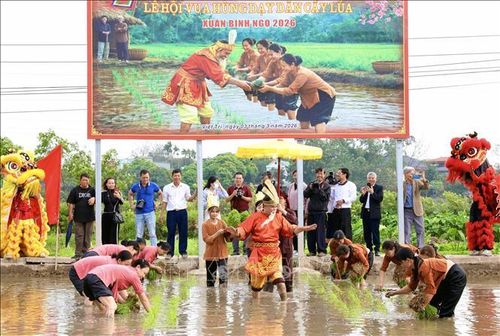Tái hiện hình ảnh Vua Hùng ra đồng dạy nhân dân cấy lúa. Ảnh tư liệu (minh họa): Tạ Toàn/TTXVN