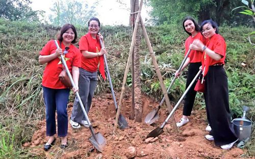 Các đại biểu tham gia trồng cây trên Cung đường Hoa Gạo