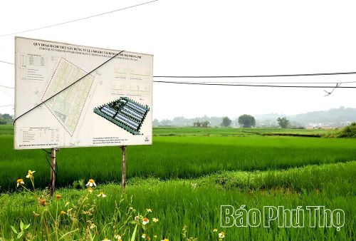 Dự án Khu tái định cư đô thị Phong Phú, xã Mường Bi sau hơn 2 năm triển khai nhưng vẫn đang bị chậm tiến độ.