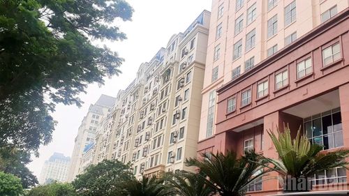 Thị trường ngày càng hướng tới minh bạch, chuyên nghiệp và bền vững. (Ảnh: HNV)