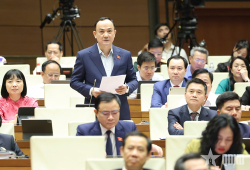 Đại biểu Nguyễn Ngọc Sơn, đoàn Hải Phòng phát biểu tại phiên họp. Ảnh: TRỌNG HẢI